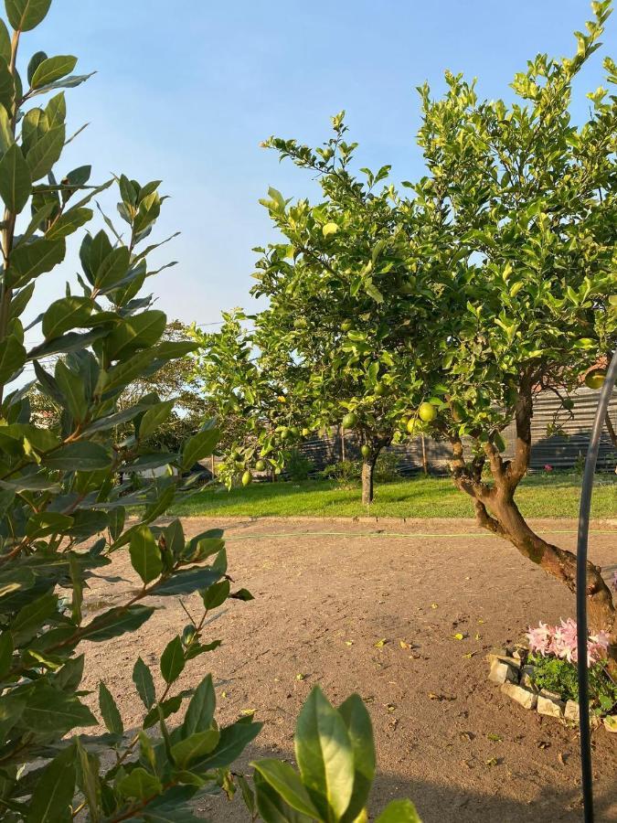 Moita Cottage מראה חיצוני תמונה